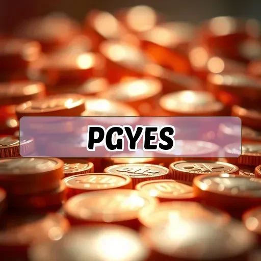 pgyes.com: Descubra Como Nosso Site Protege Seus Dados com Segurança!
